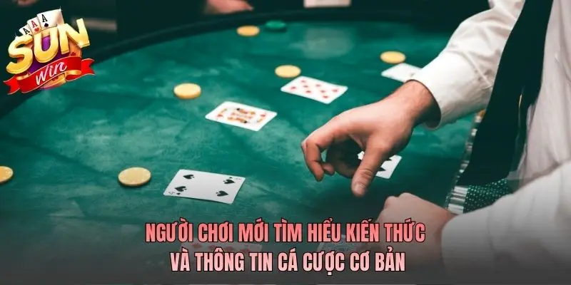 Người chơi theo dõi thông tin cá cược trước khi đặt cược